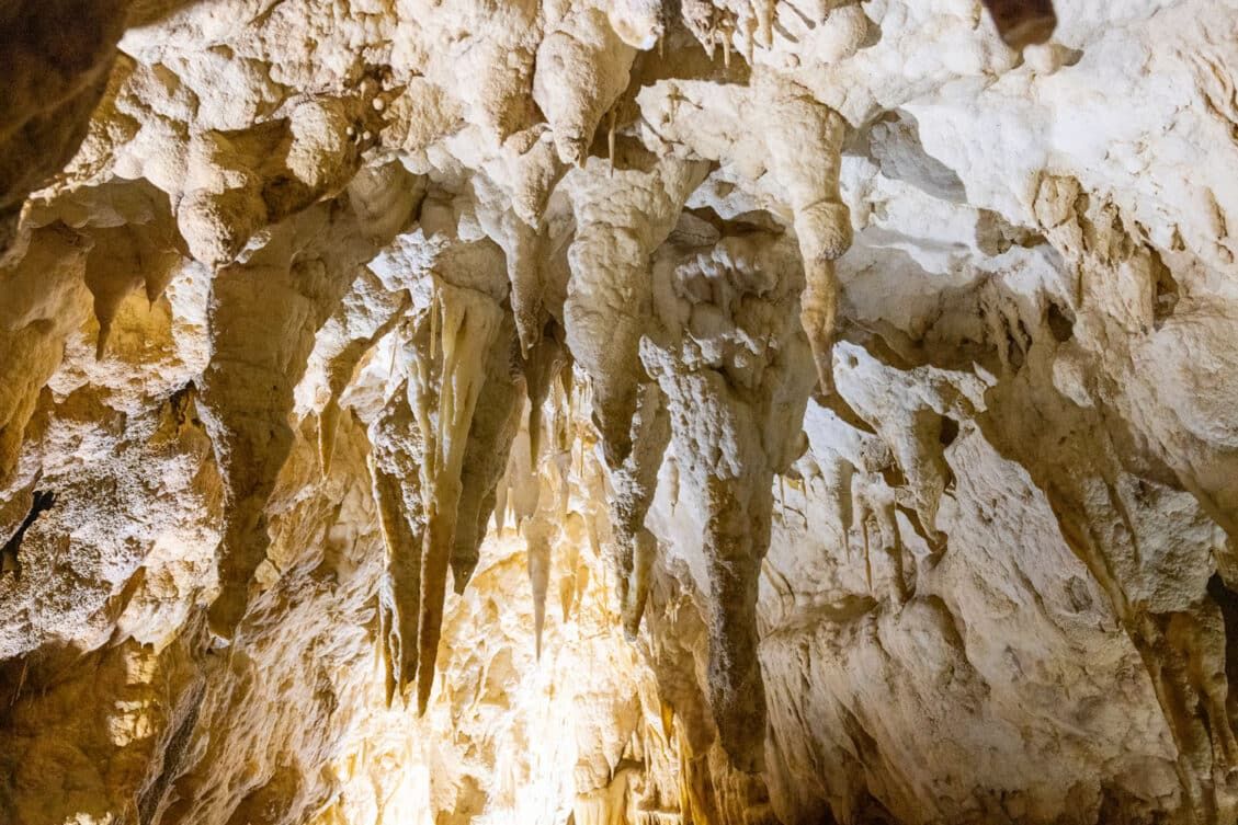 Waitomo Caves Glowworms Blackwater Rafting The Best Tours Earth