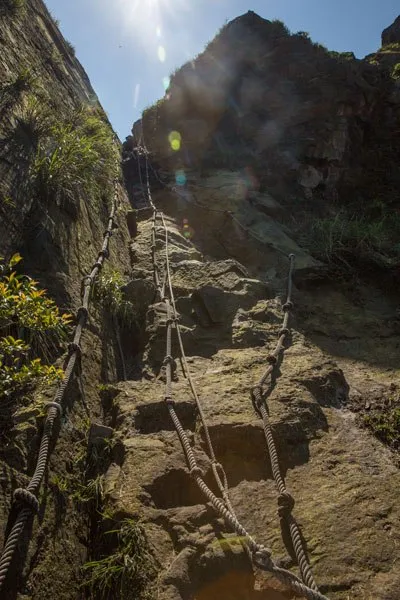 A very sheer and uneven cliff face pictured from the bottom, with several ropes hanging down to use for climbing.