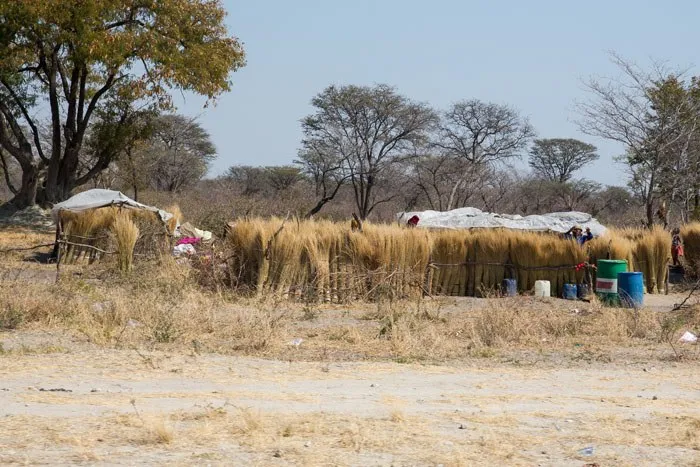 Grass Huts