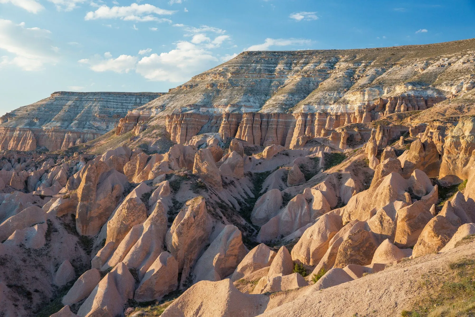 Red and Rose Valley