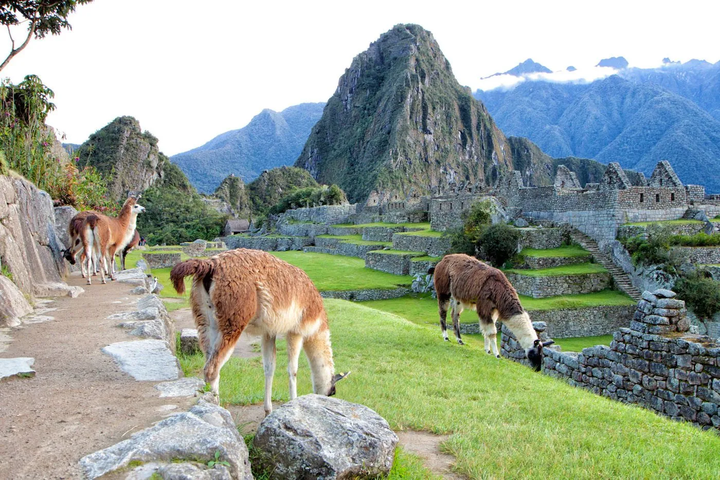 Machu Picchu