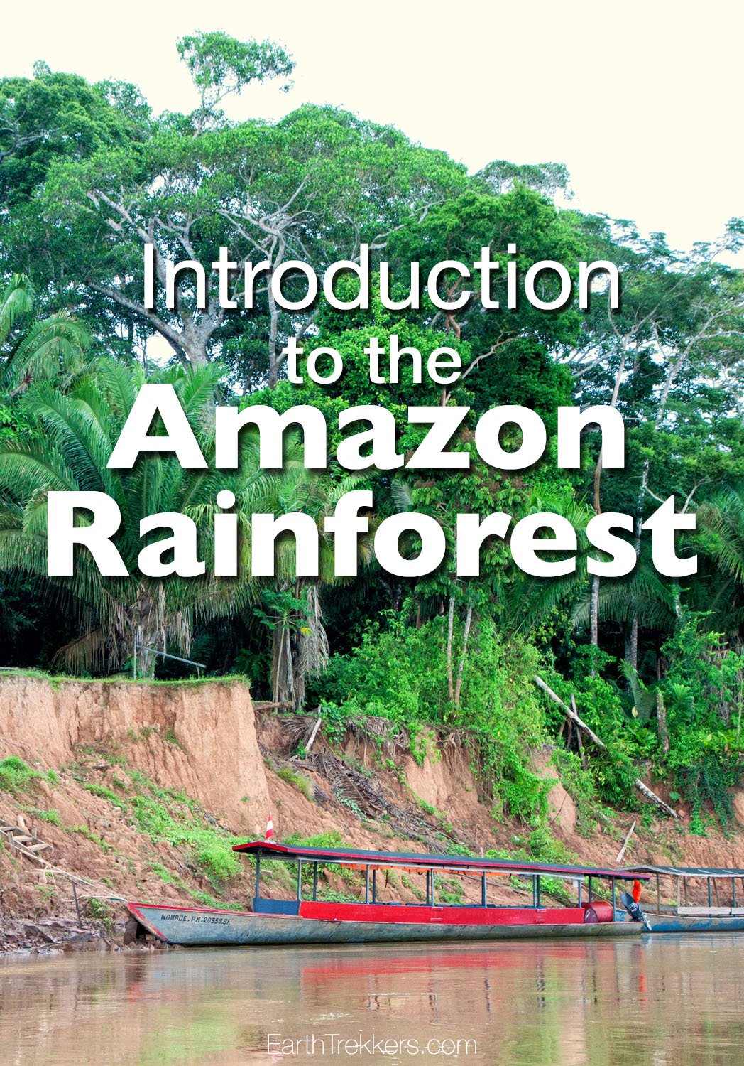 An Introduction to the Amazon Rainforest Earth Trekkers
