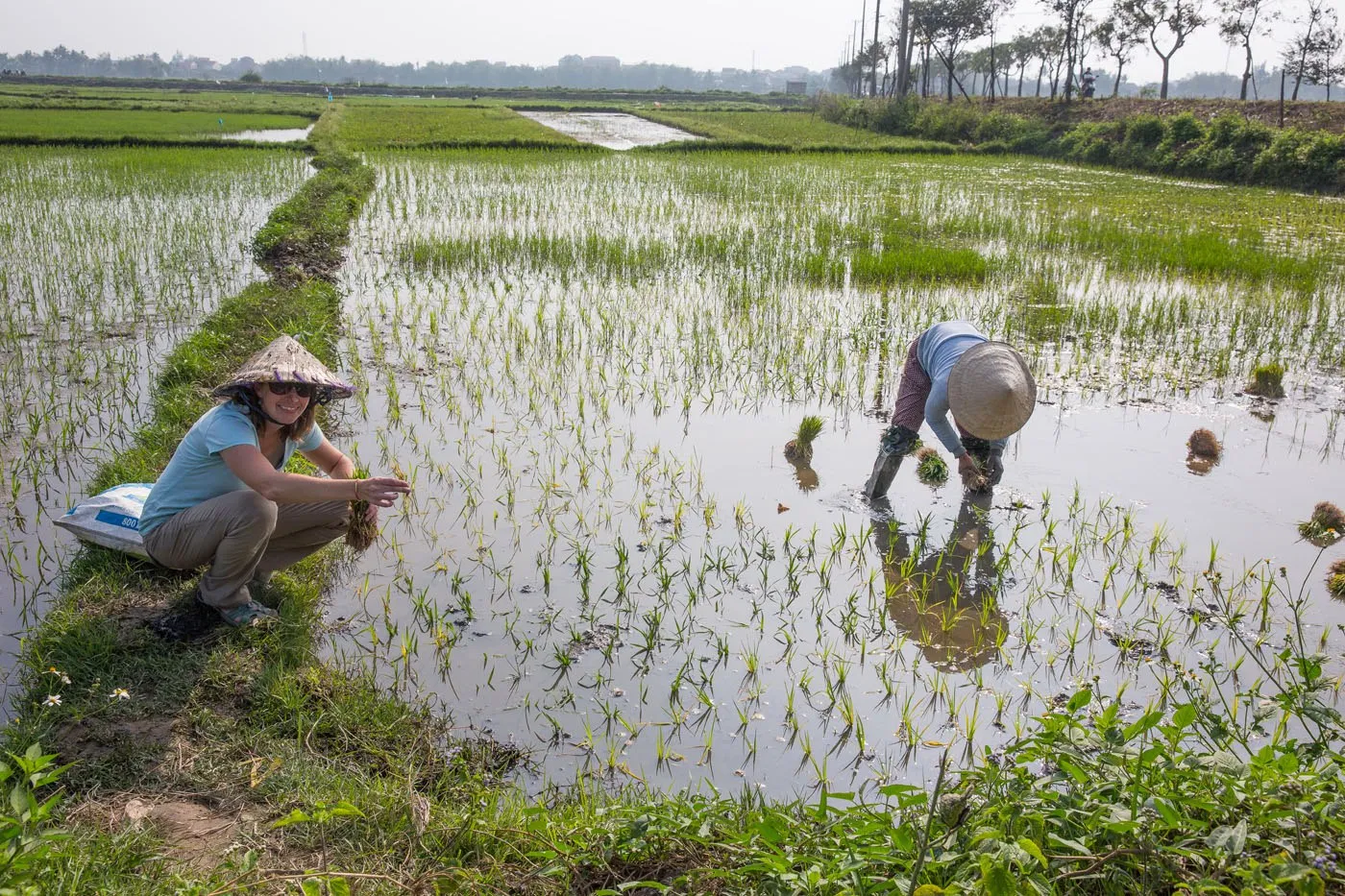 Julie in the Rice Fields