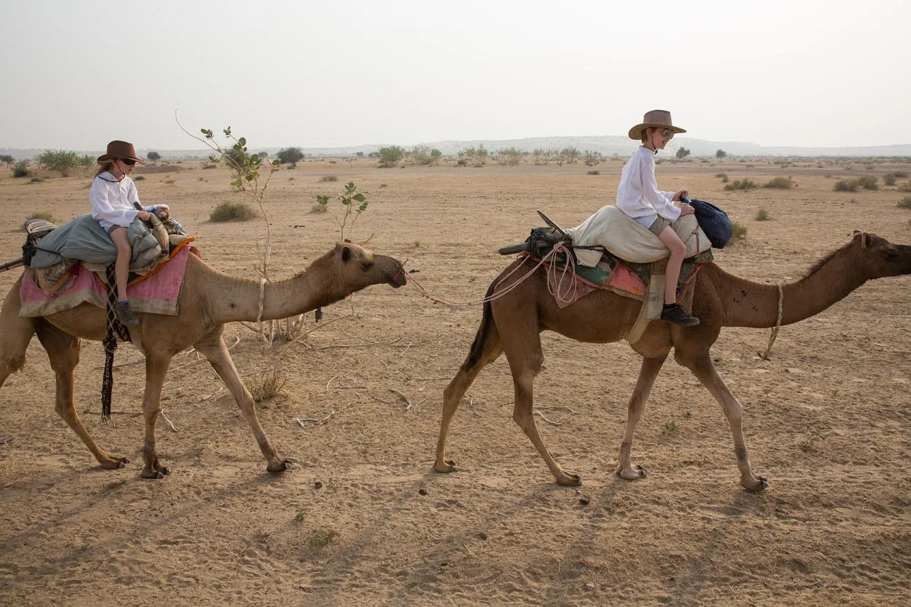 Camel Safari in India