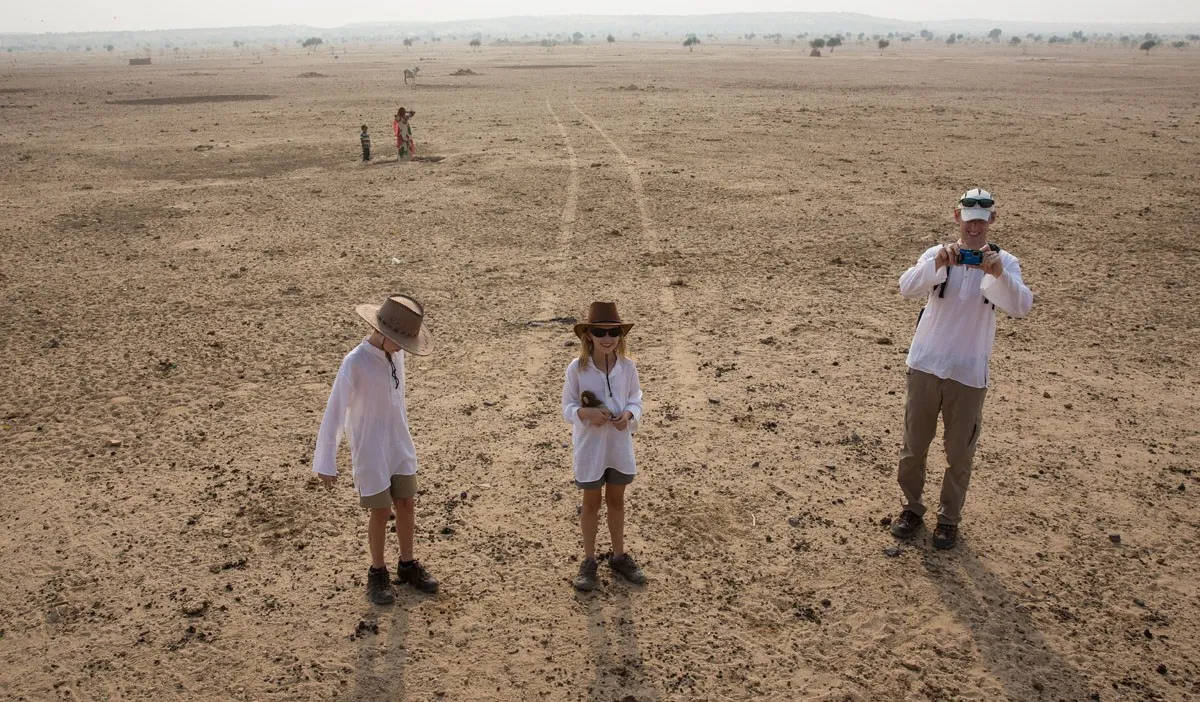 View from a camel