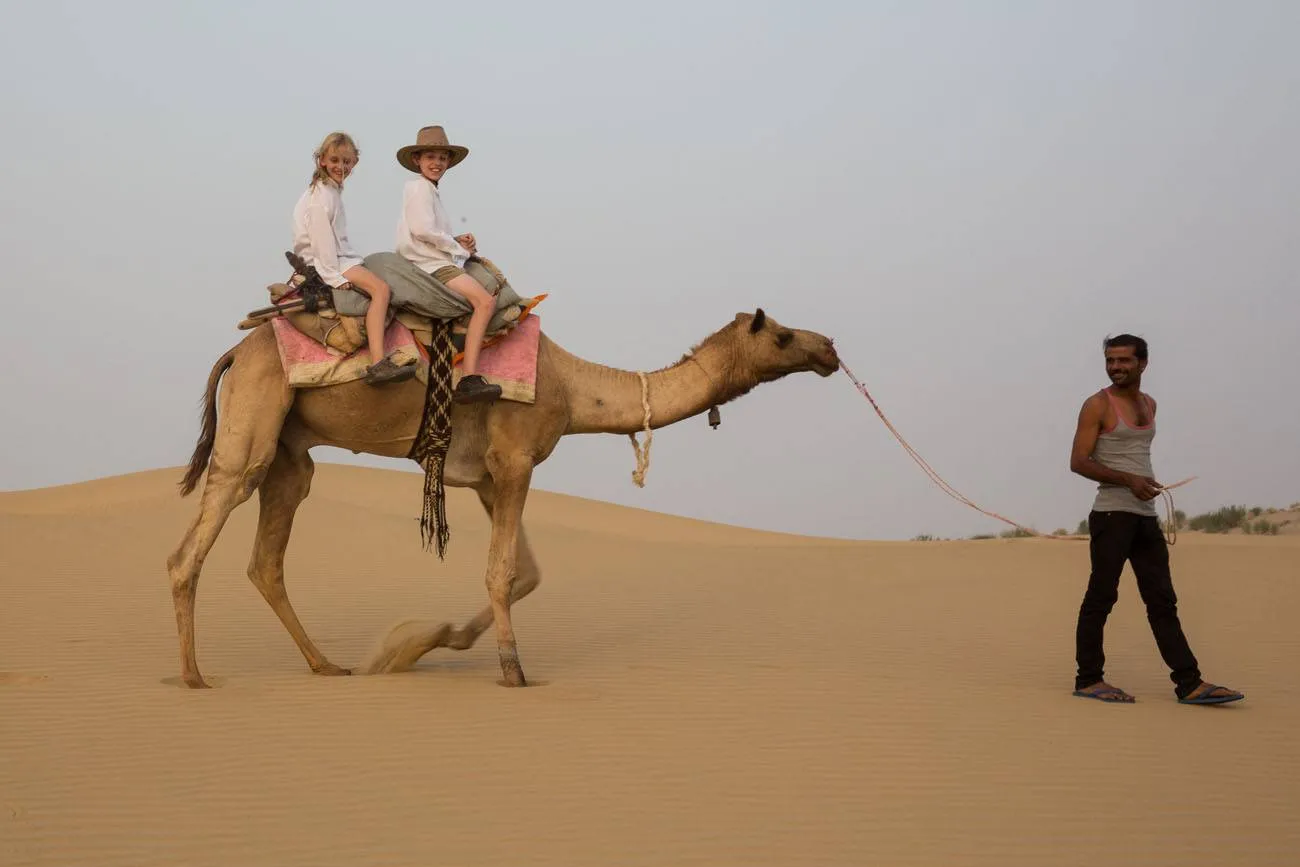 on a camel