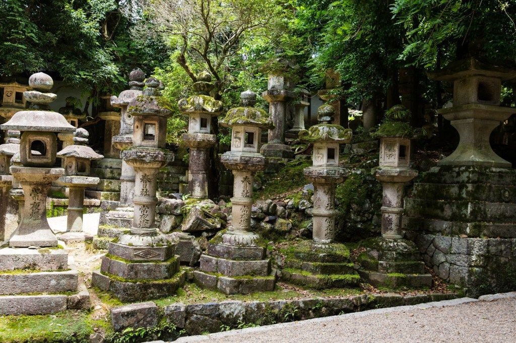 Feeding Deer in Nara, Japan – Earth Trekkers