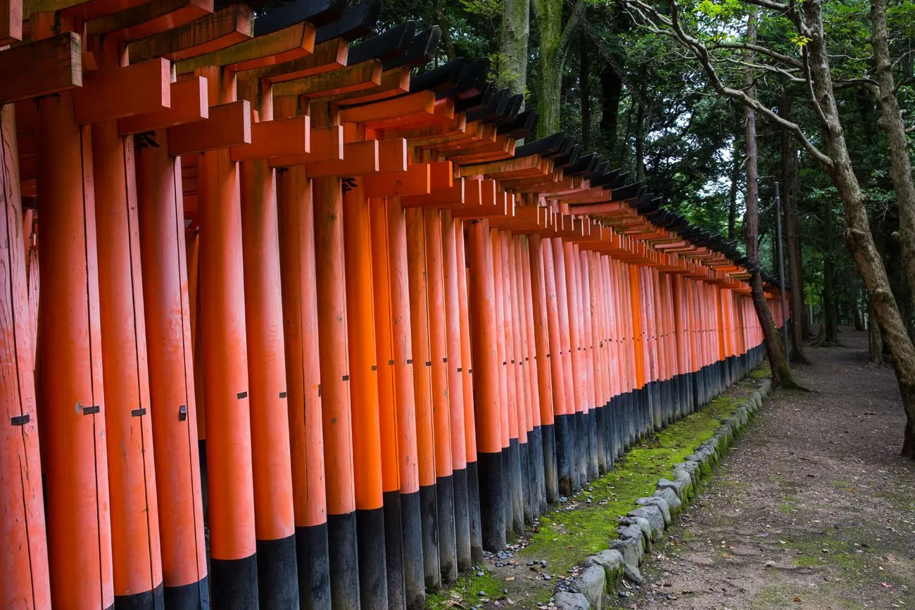 Torii Gates