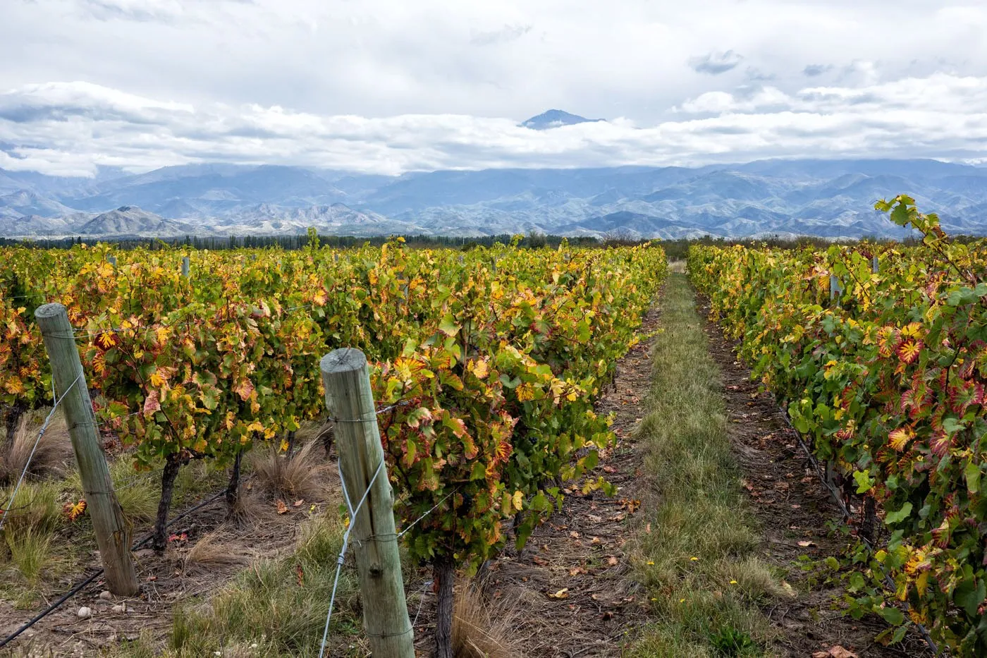 Mendoza Itinerary