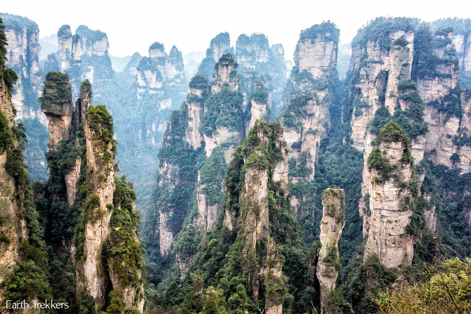 Avatar Zhangjiajie Pic