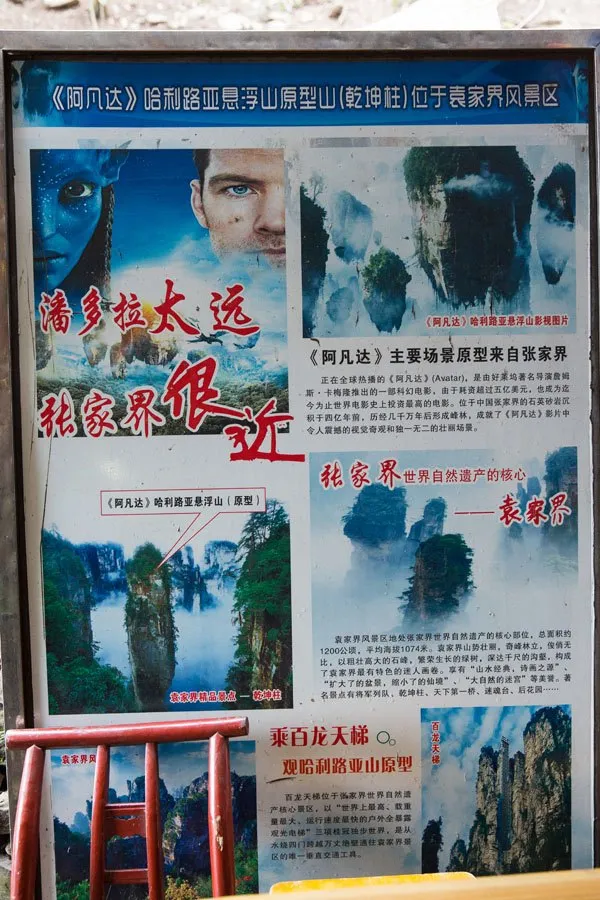 Avatar in China