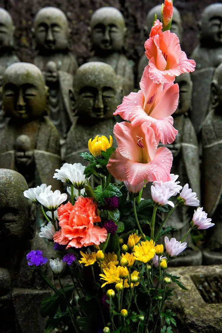 Flowers in Japan