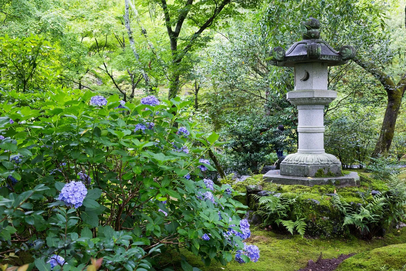 Japanese Garden