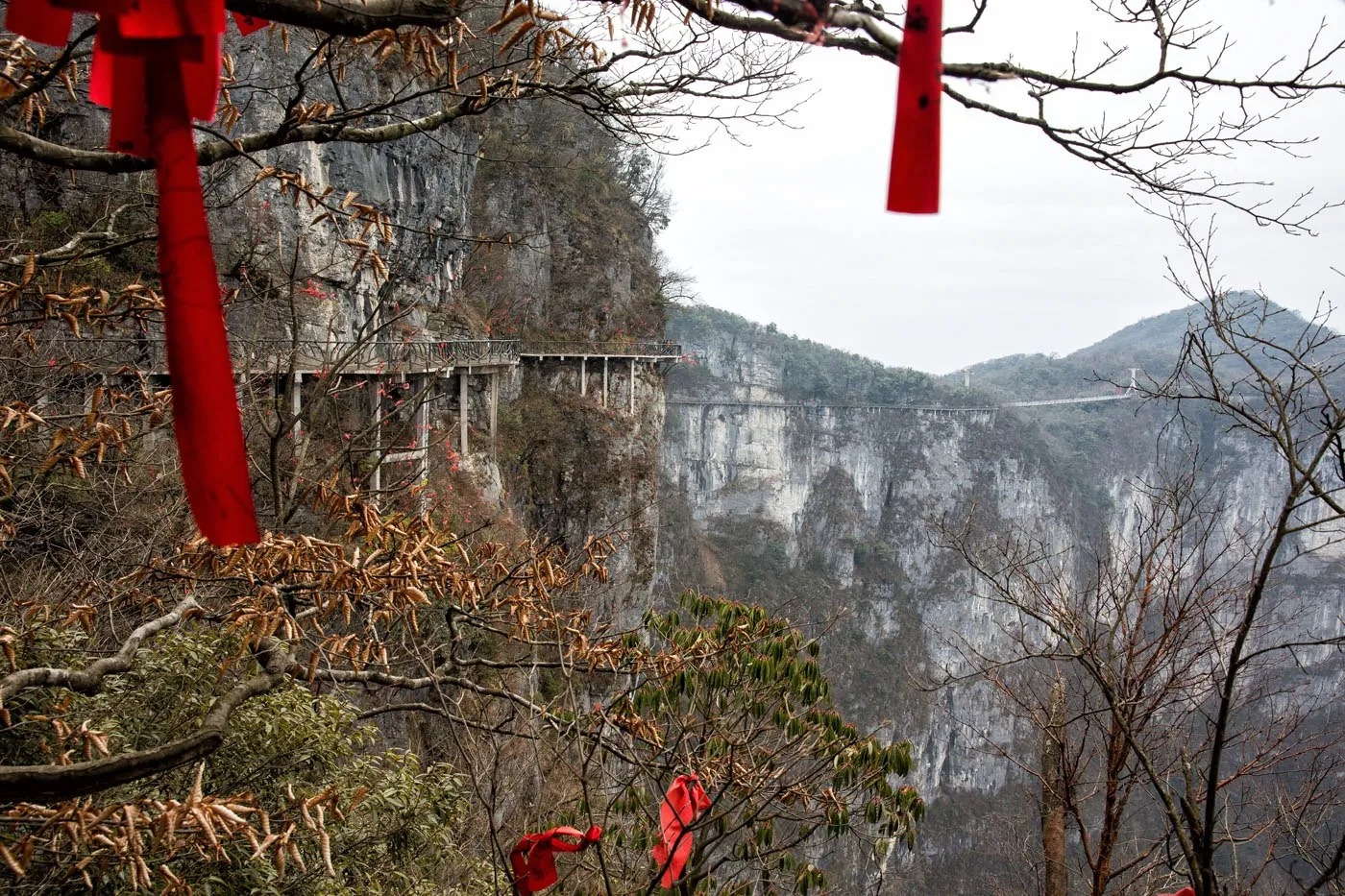 Tianmen Plank Road View