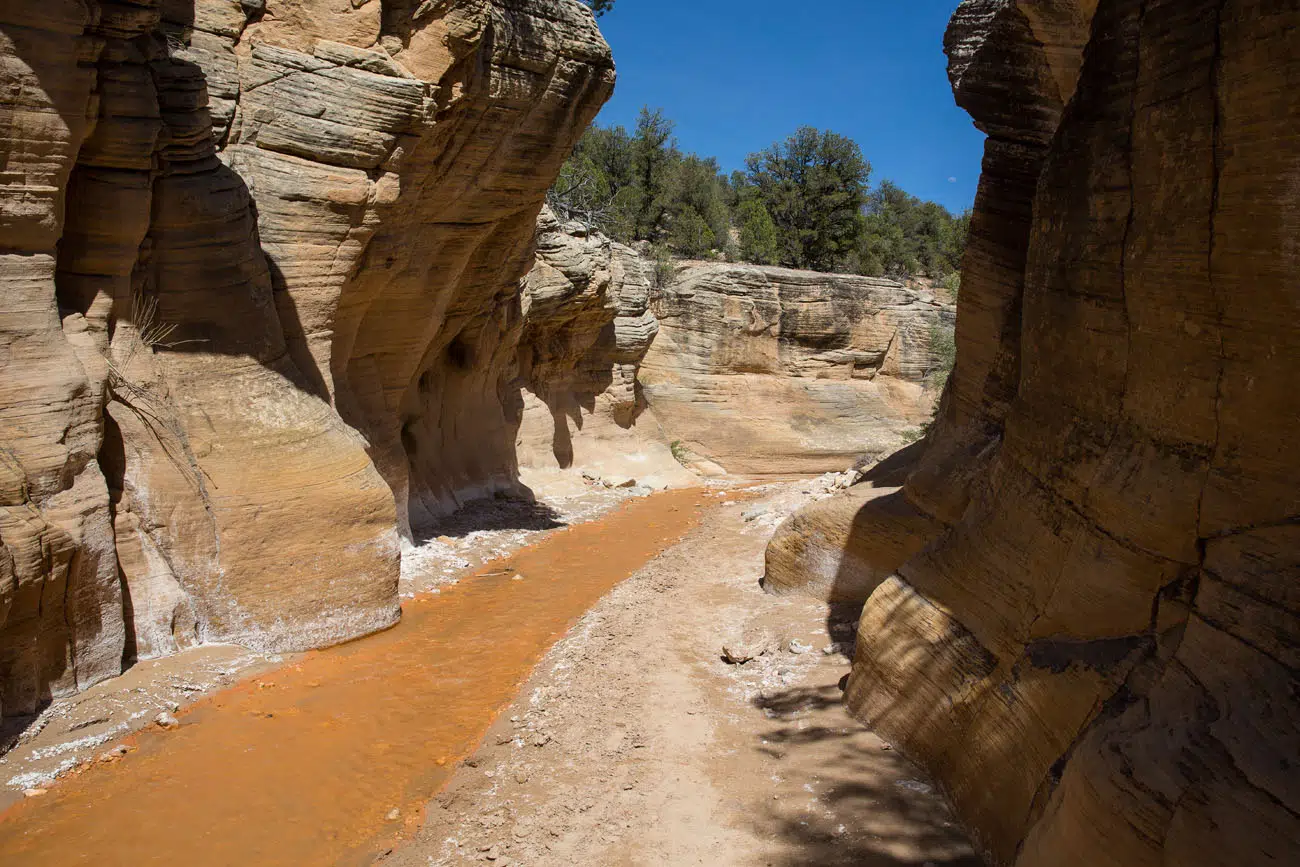 Heading down Willis Creek