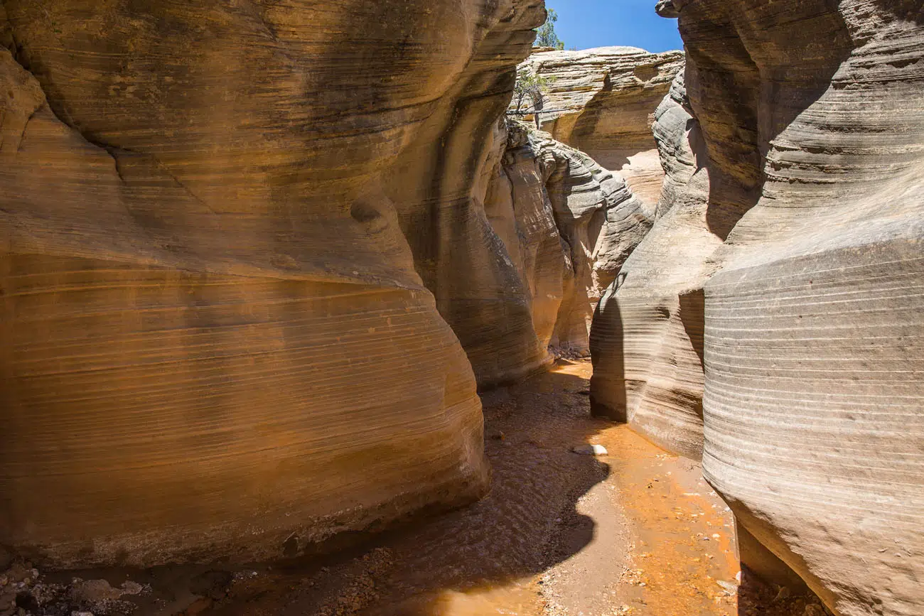 Willis Creek Slot Canyon