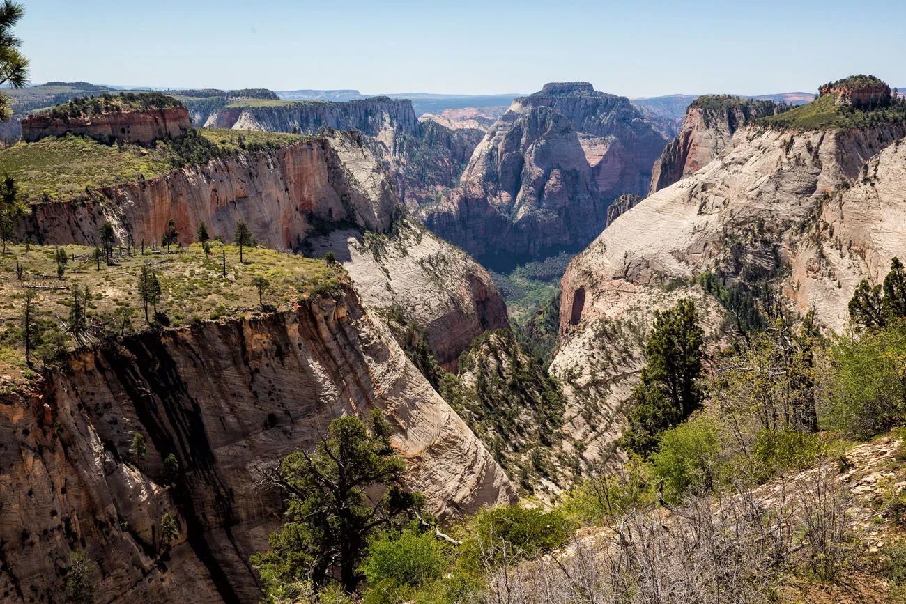 Cabin Spring Viewpoint