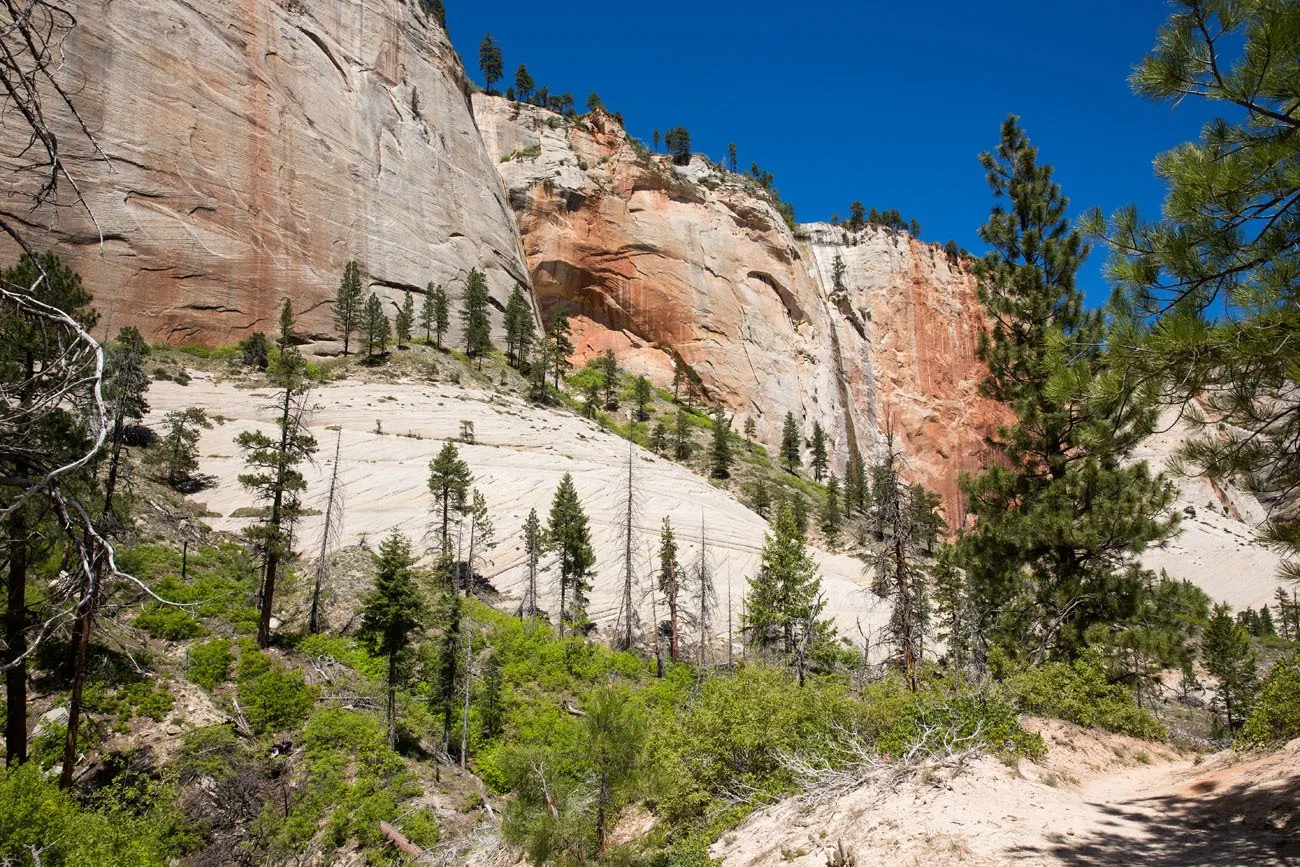 Canyon in Zion