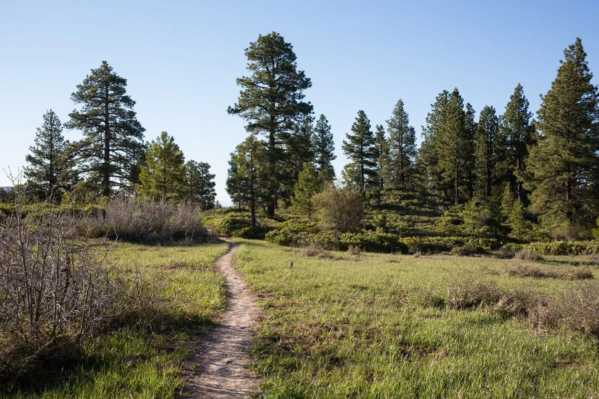 Plateau on the West Rim Trail