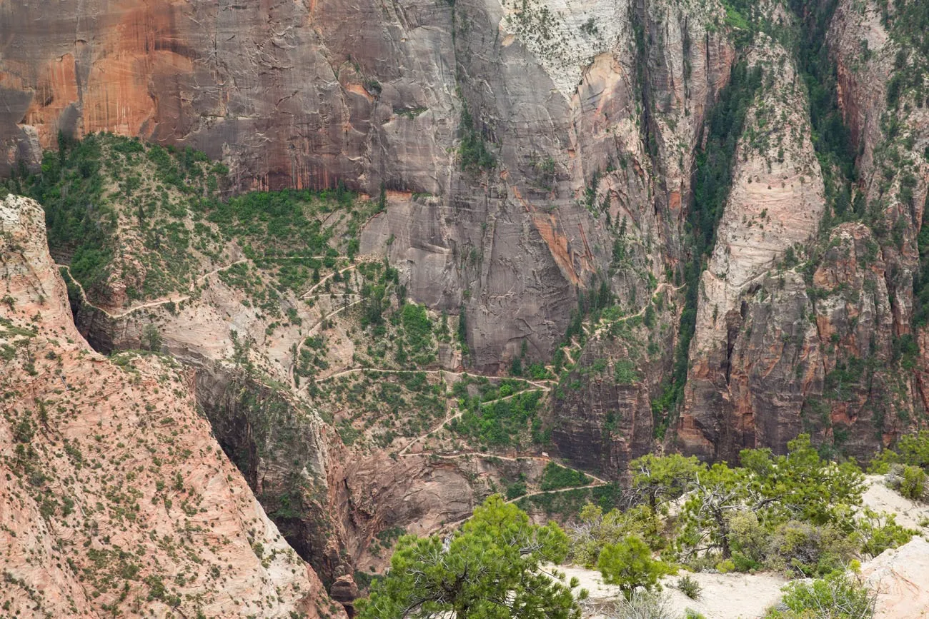 View of the Trail