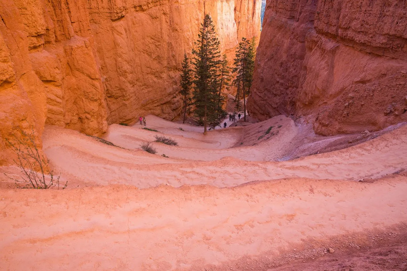 Navajo Loop Switchbacks