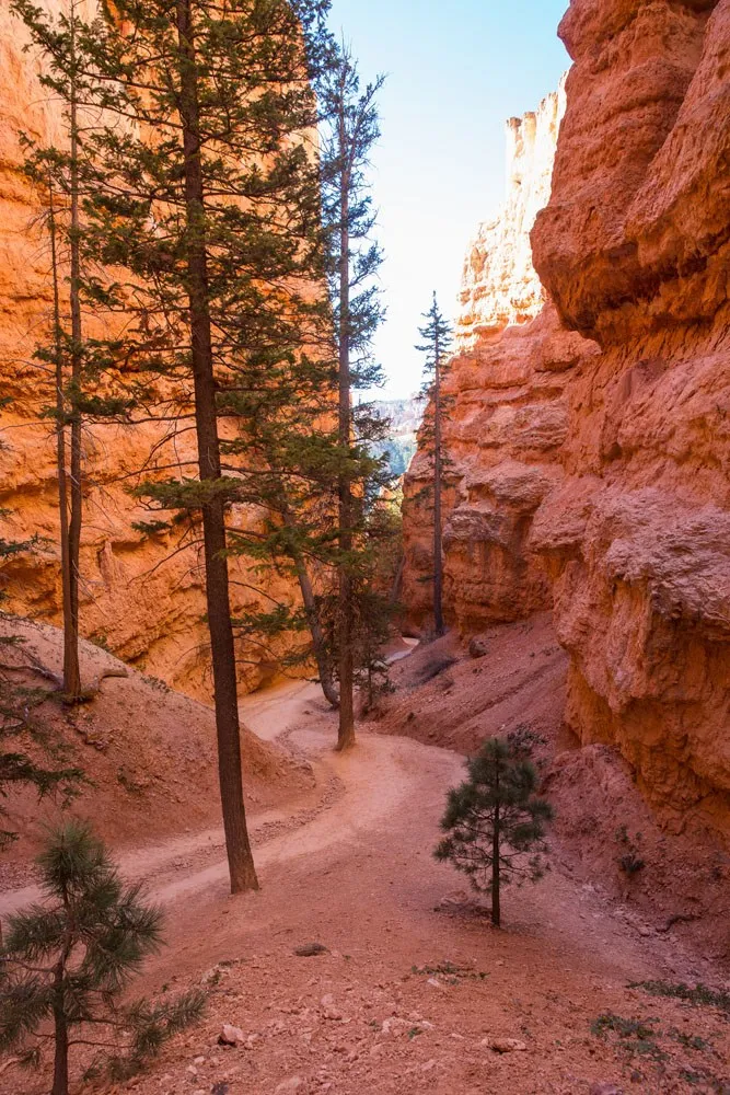 Navajo Loop Trail