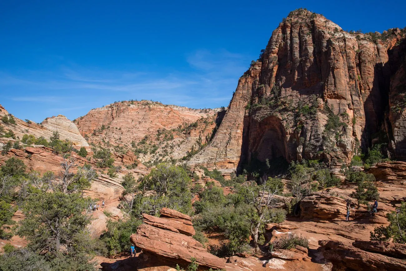 Canyon Overlook