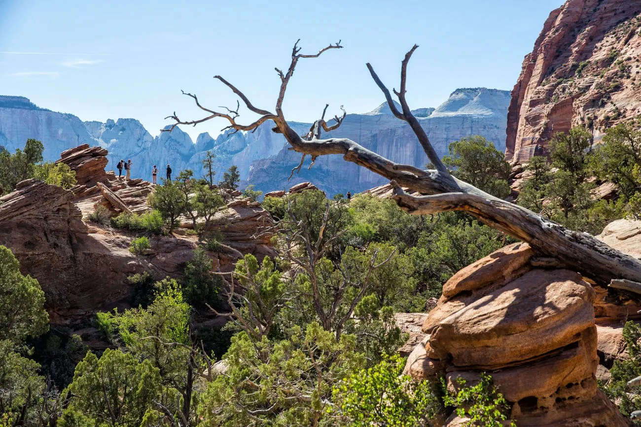 Hiking Canyon Overlook