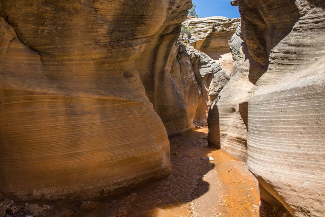 10 Amazing Slot Canyons To Explore In The American Southwest Earth Trekkers 7356