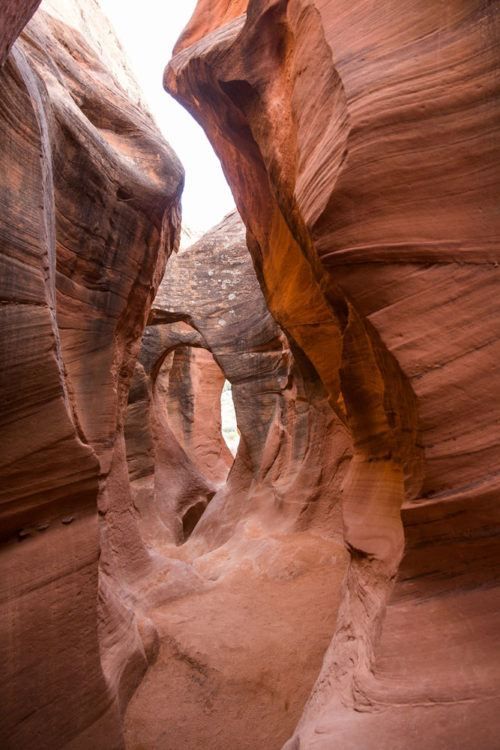 10 Amazing Slot Canyons To Explore In The American Southwest Earth Trekkers 6785