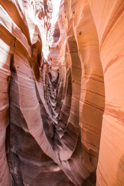 10 Amazing Slot Canyons To Explore In The American Southwest Earth Trekkers 4978