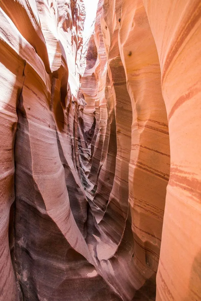 Zebra Slot Canyon