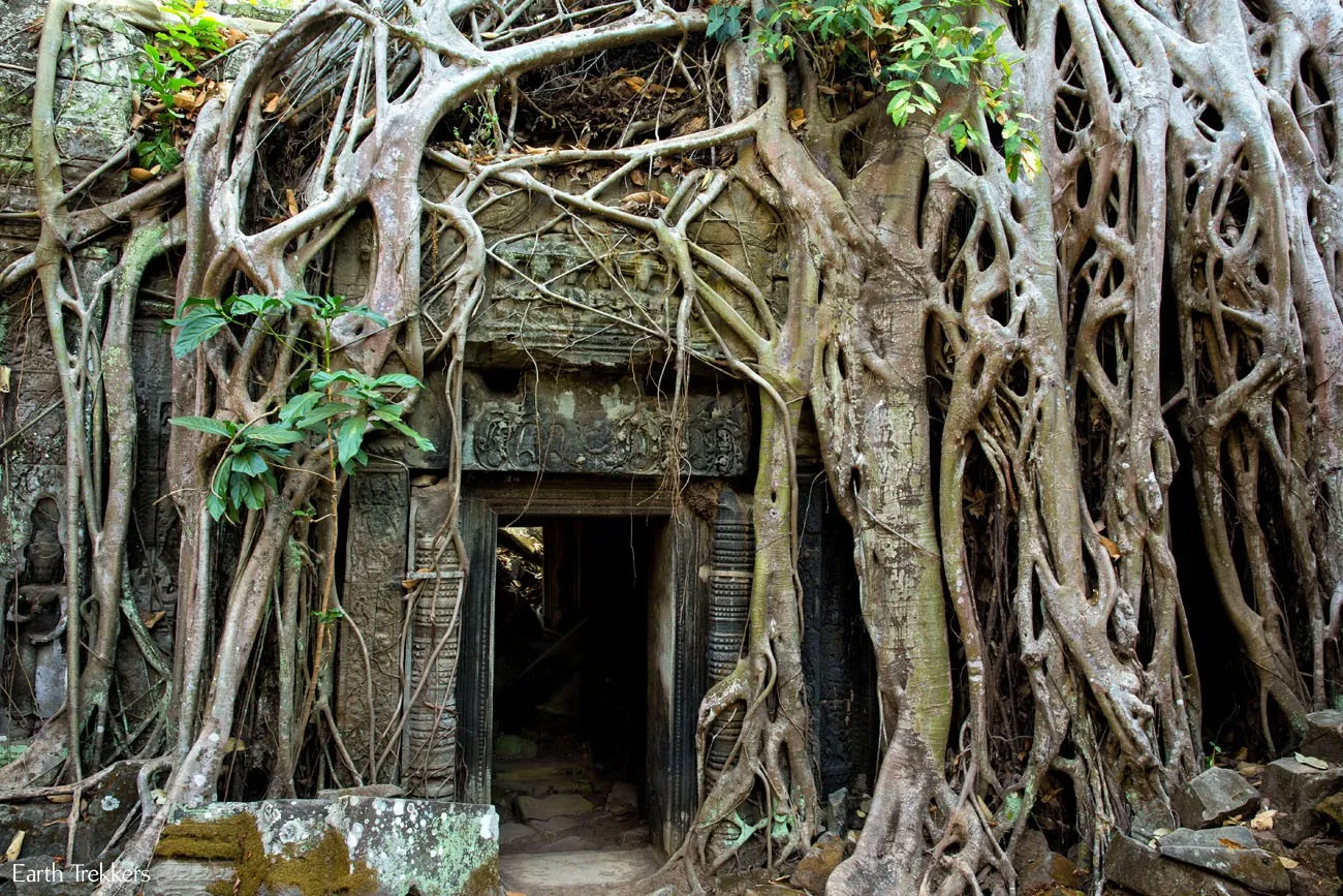 Ta Prohm