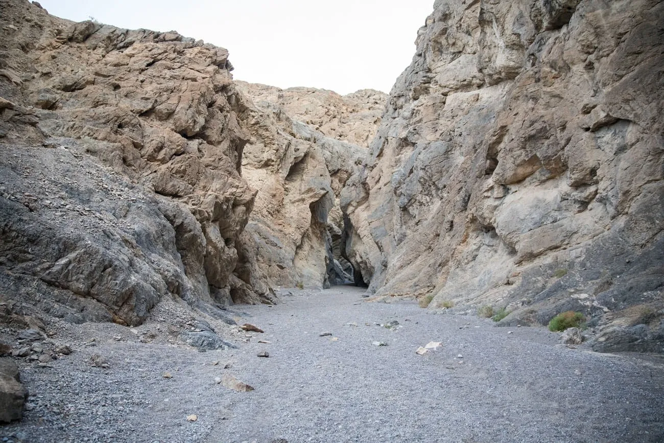 In Grotto Canyon