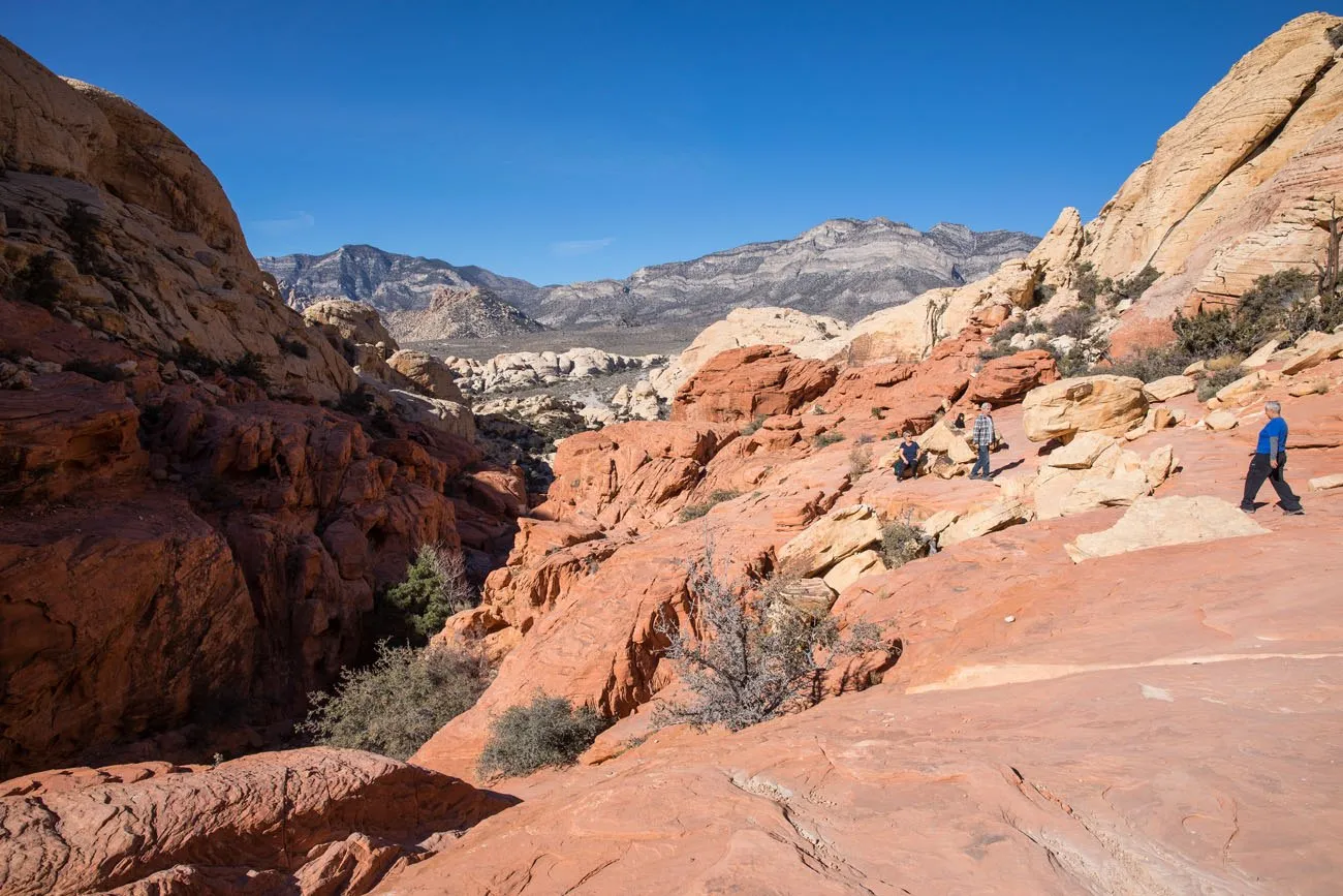 Red Rocks