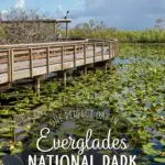 Everglades One Day Itinerary