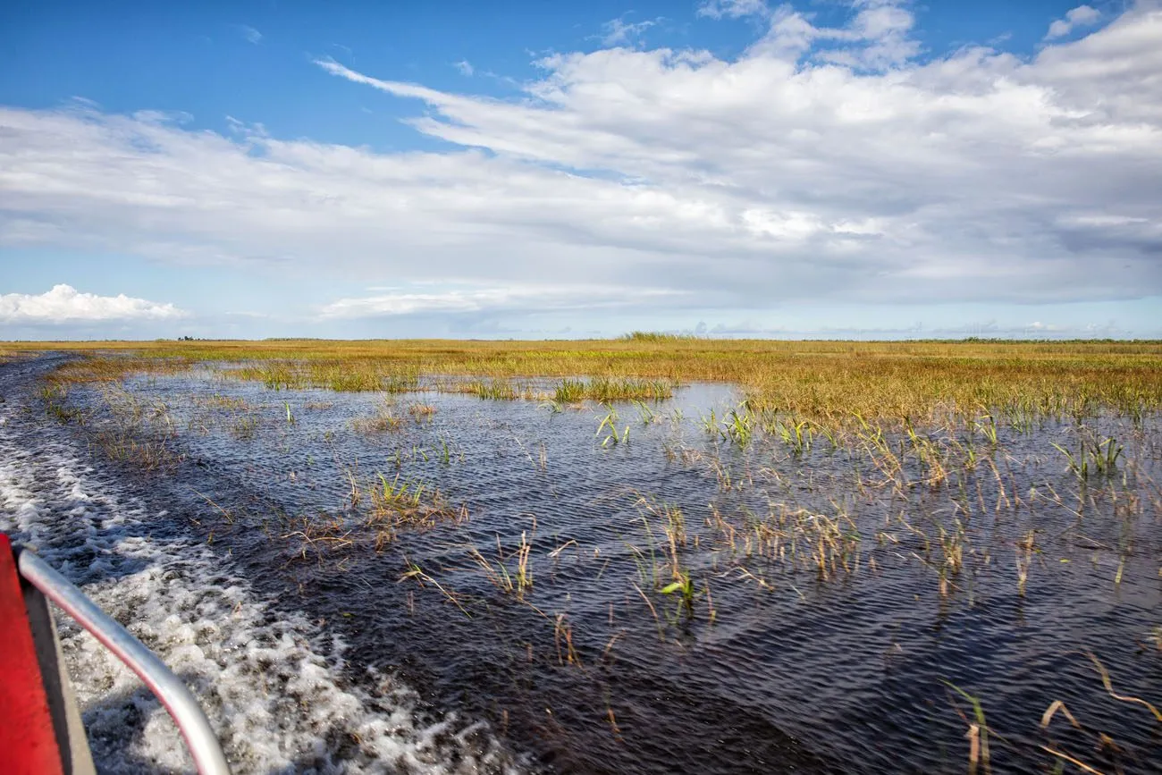 View of Everglades