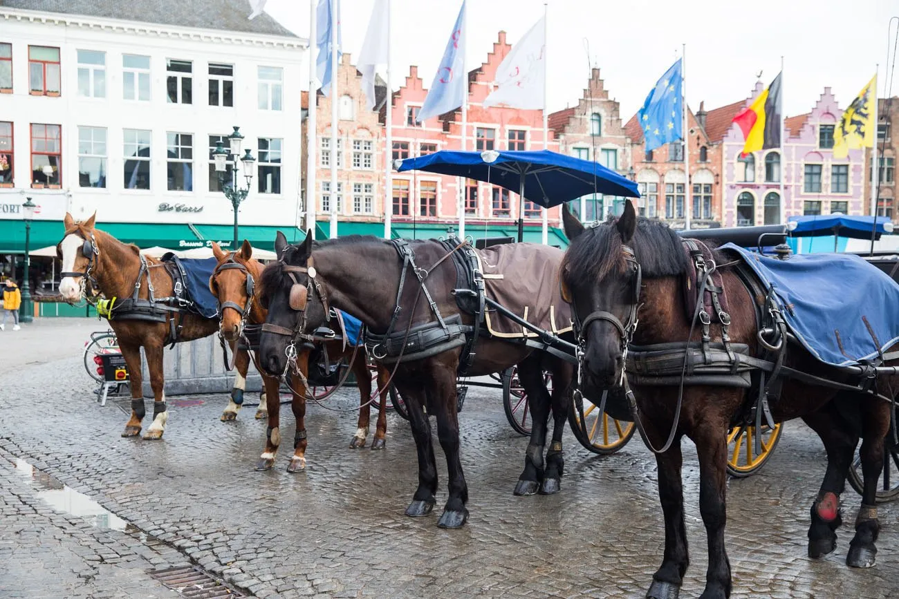 Horses in Bruges