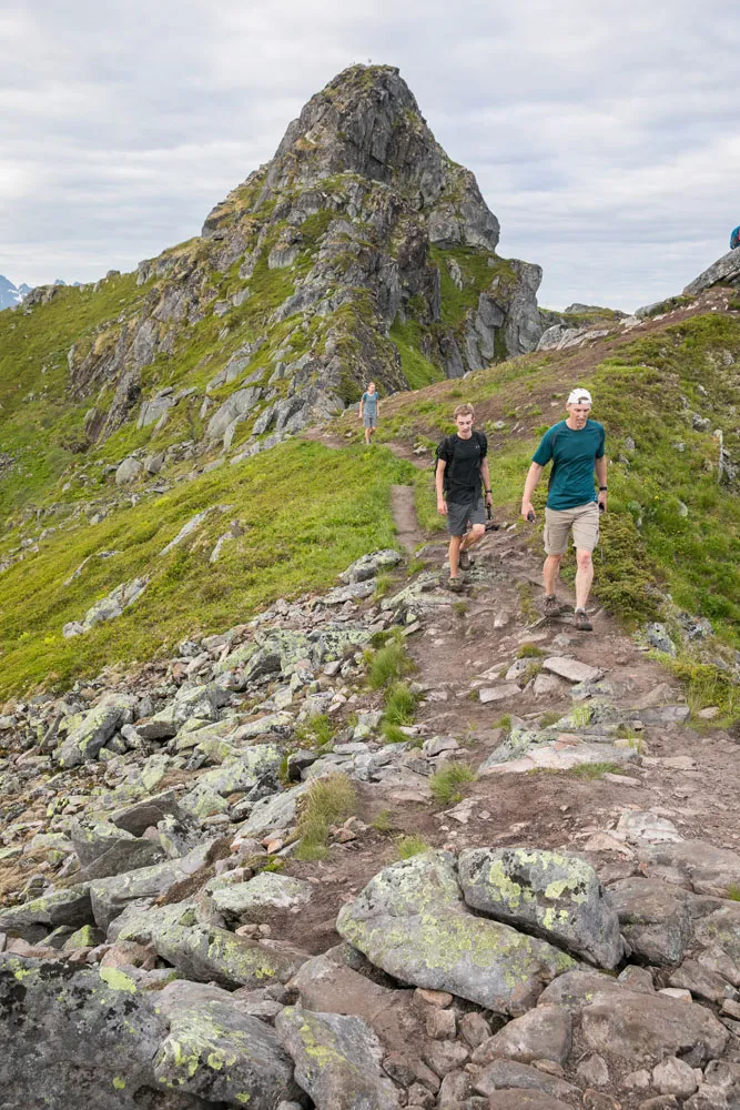 Along the ridge