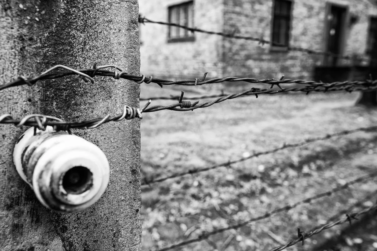 Barbed Wire