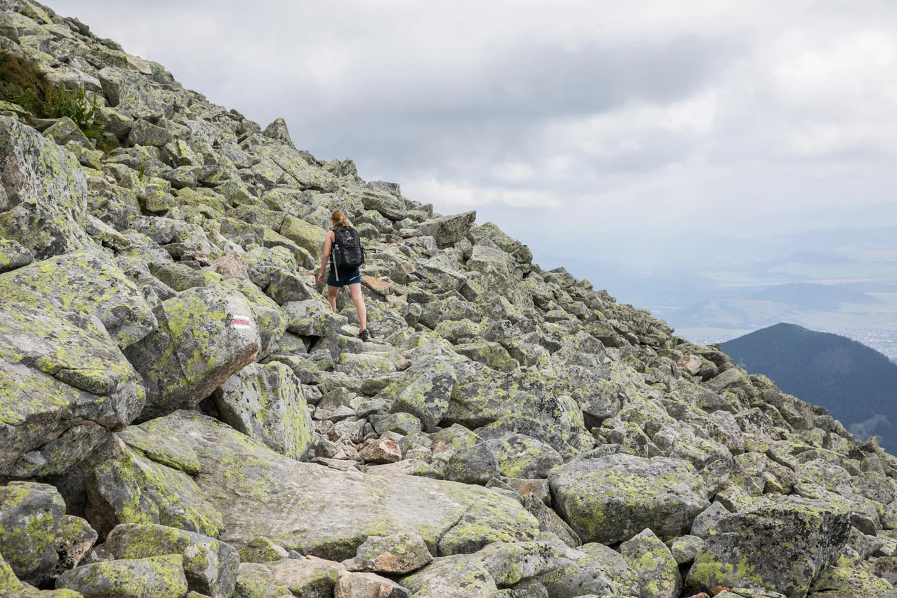 Boulder Field