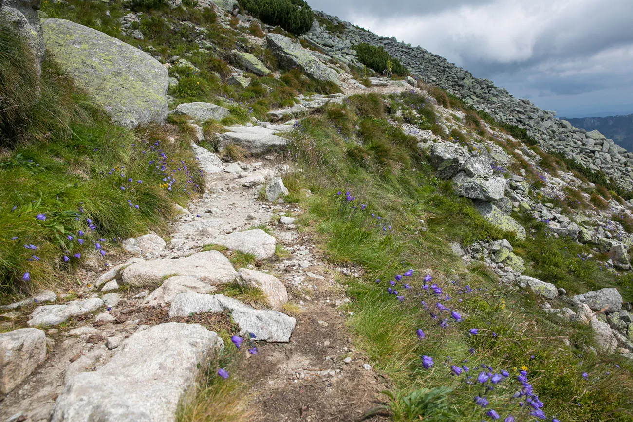 Slovakian Hiking Trail