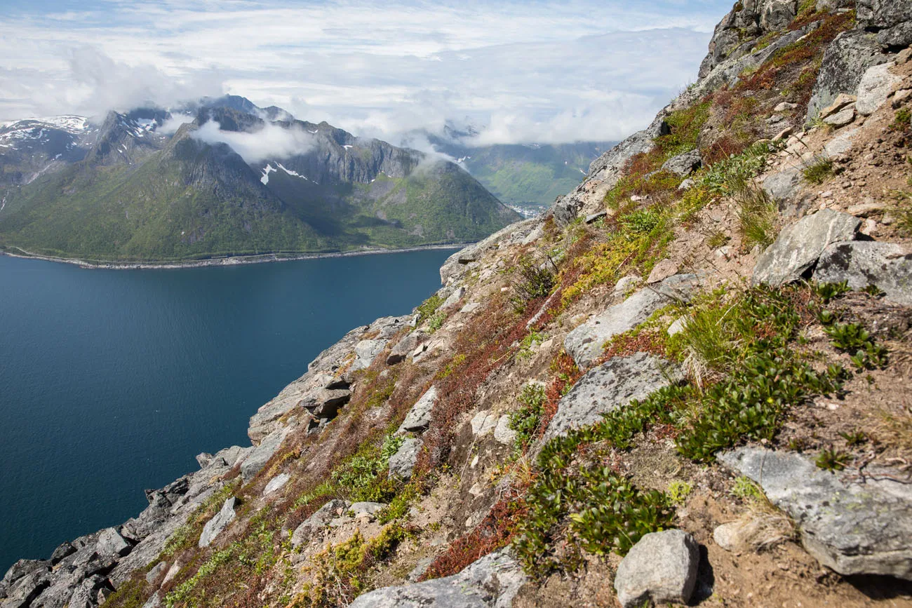 Steepness of the trail