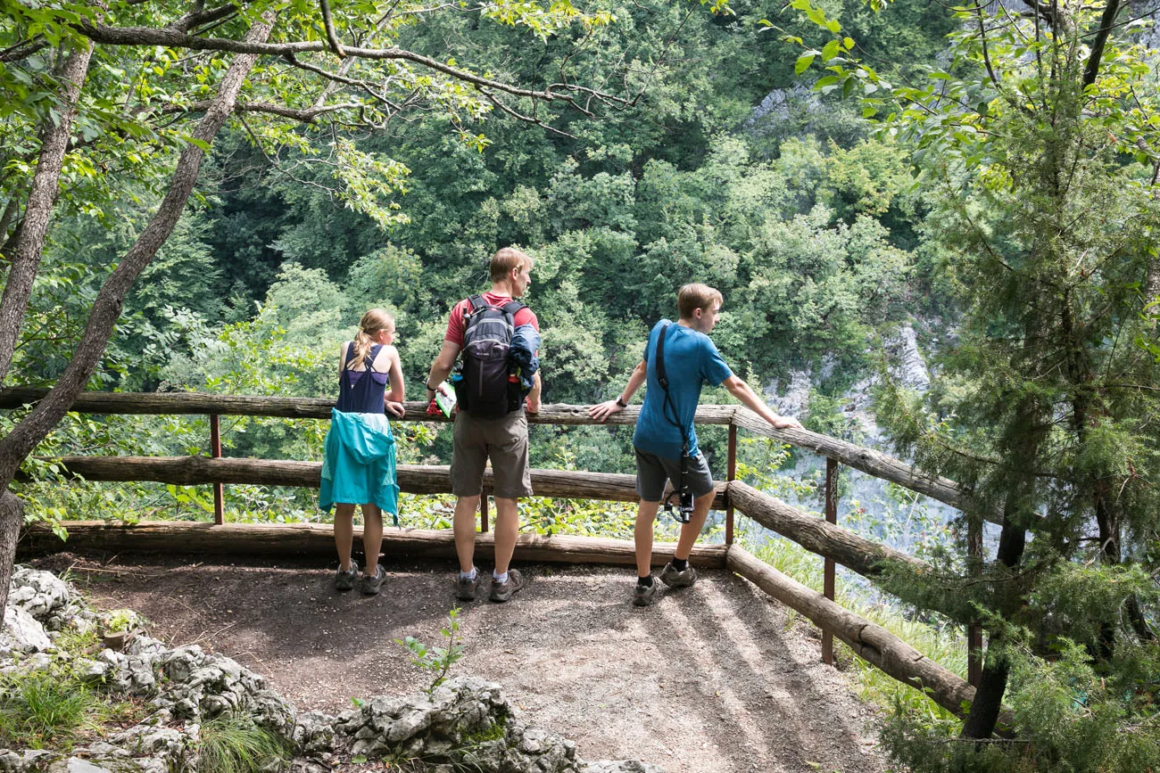 Another Plitvice Viewpoint