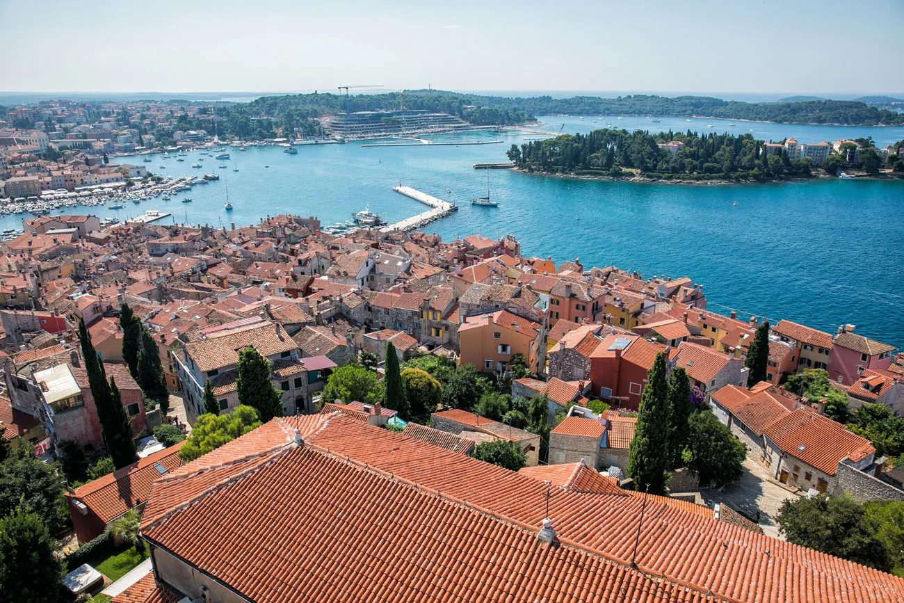 Bell Tower View