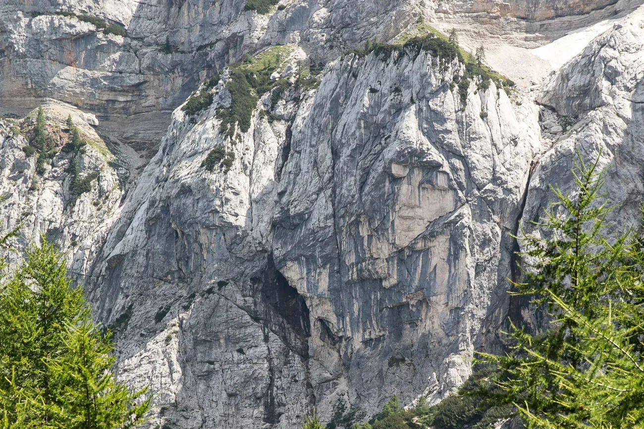 Face in the Stone