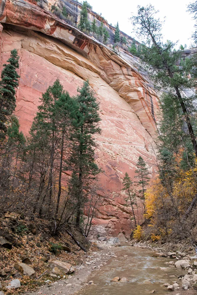 Rock Arch Zion Narrows