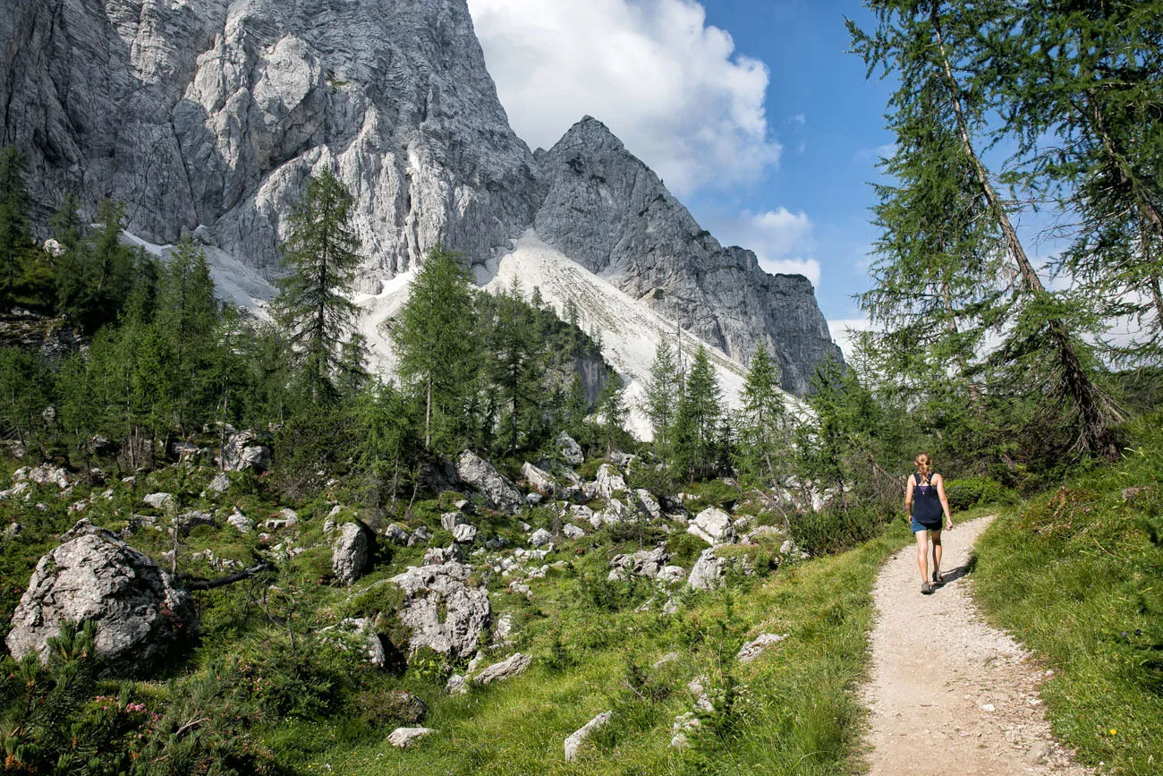 Through the Valley