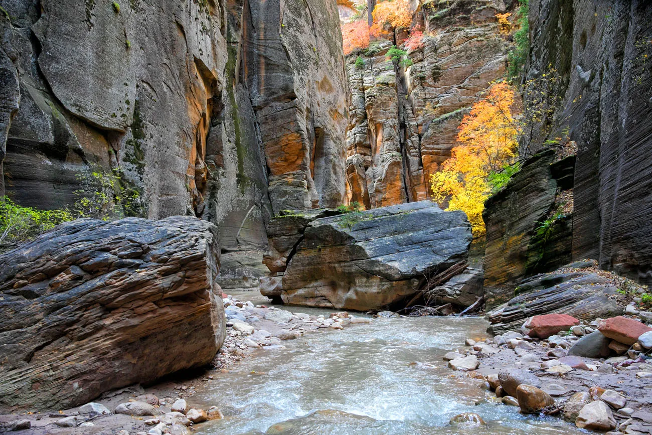 Zion Narrows October