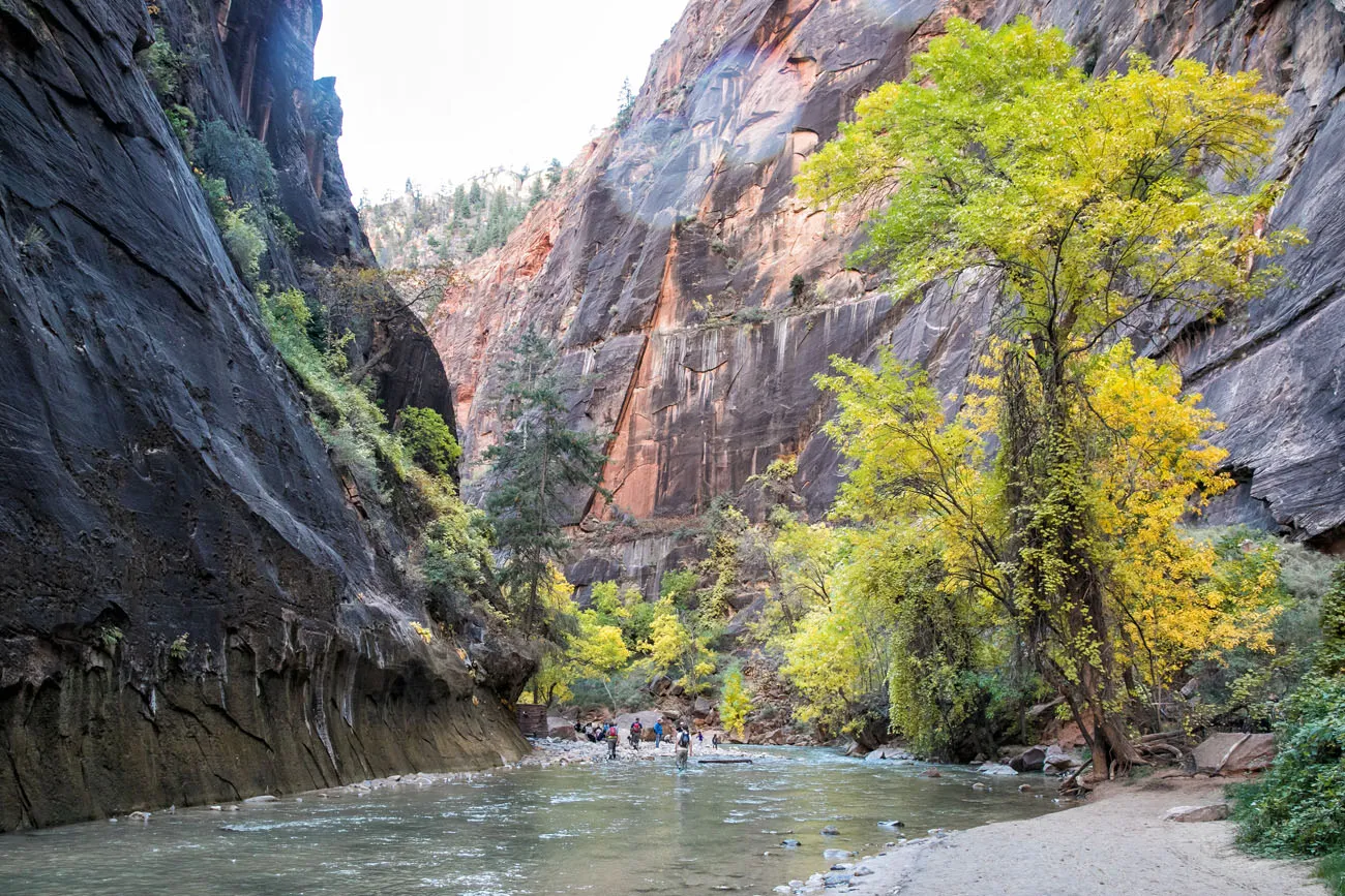 Zion Narrows Riverside Walk